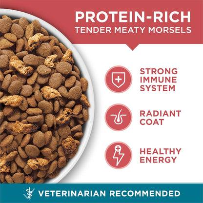 Purina ONE Natural Dry Cat Food, Tender Selects Blend with Real Salmon - 7 Lb. Bag8