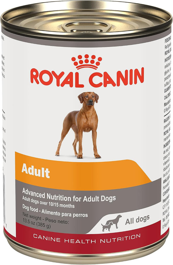 ROYAL CANIN Canine Health Nutrition Adult in Gel Dog Food, 13.5 Oz (Pack of 12)1