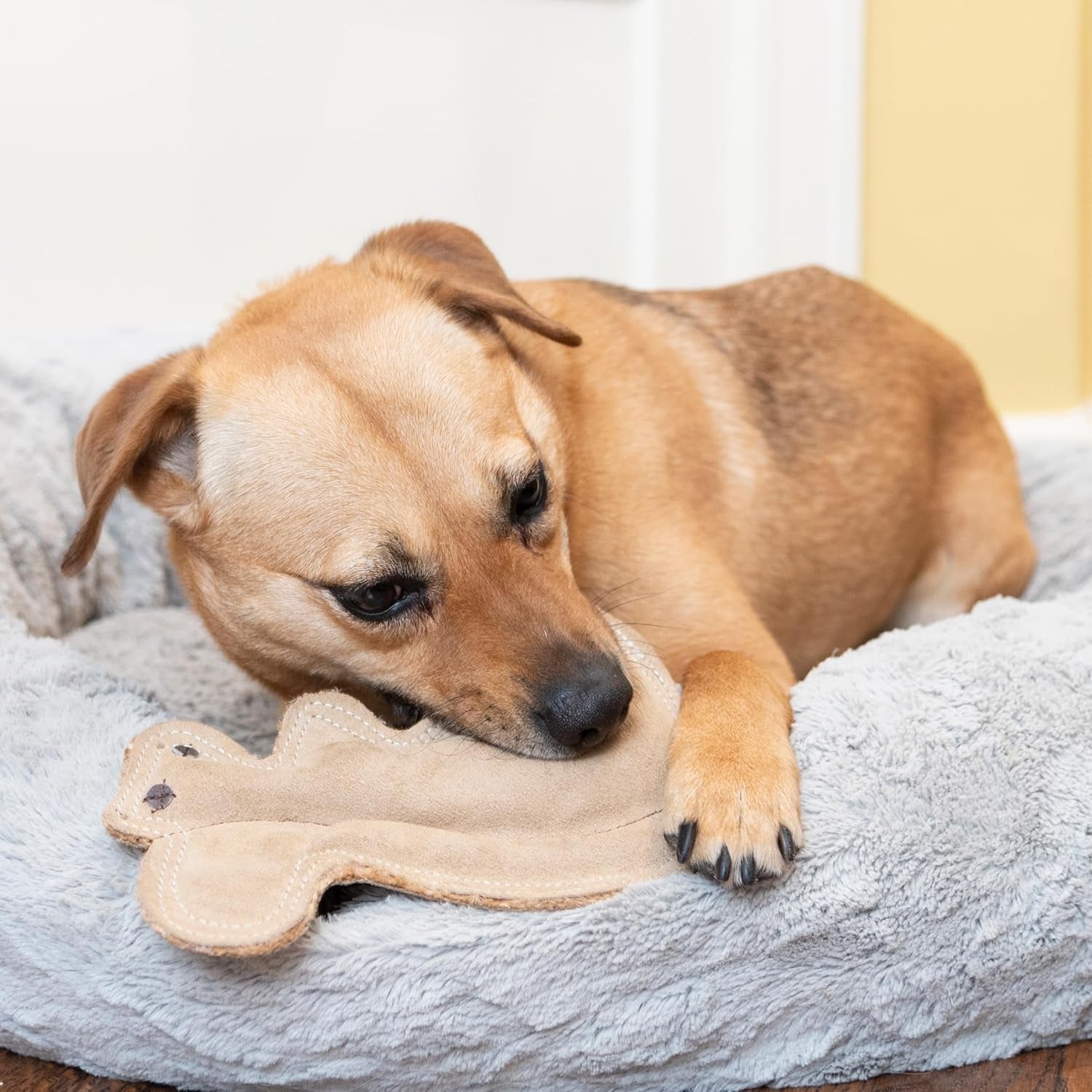 spot-dura-fused-leather-squirrel-dog-toy-real-leather-jute-fabric-double-stitched-durable-soft-stuffed-squeaky-interactive-chew-toy-for-moderate-chewers-small-medium-dogs-8in