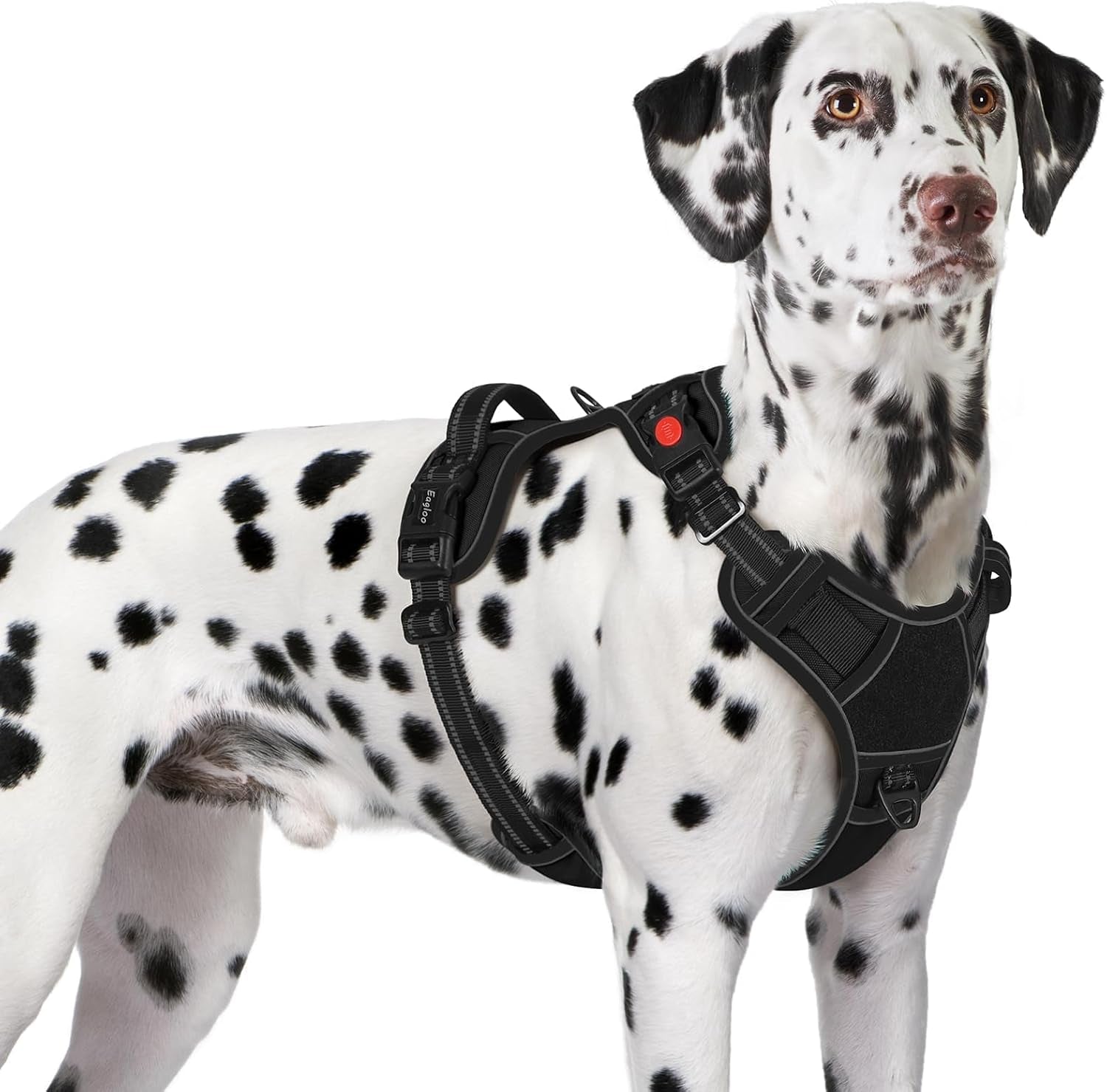 eagloo-dog-harness-no-pull-for-large-dogs-easy-on-off-with-3-buckles-no-choke-with-front-clip-adjustable-fit-molle-system-reflective-vest-easy-control-for-walking-black-large