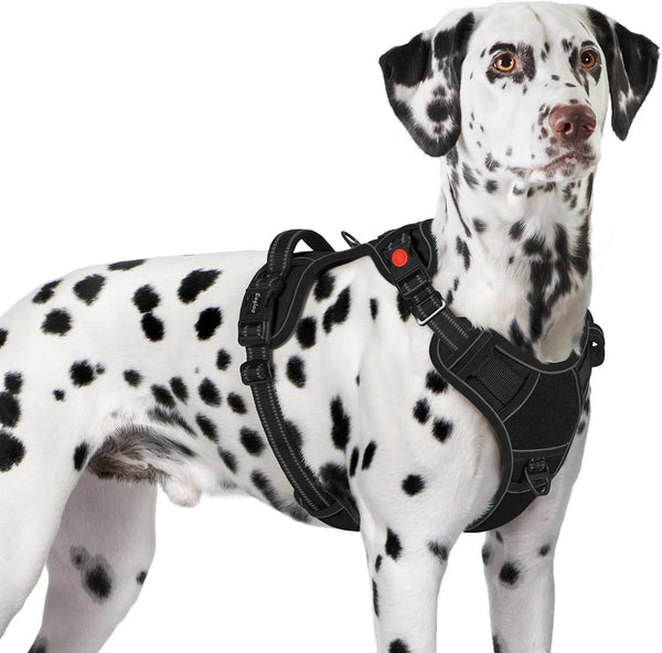 Eagloo Dog Harness No Pull for Large Dogs, Easy on & off with 3 Buckles | No Choke with Front Clip, Adjustable Fit, MOLLE System, Reflective Vest, Easy Control for Walking, Black, Large10