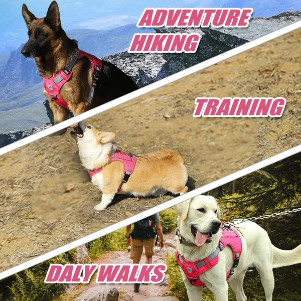 Tactical Dog Harness for Small Medium Large Dogs No Pull Adjustable Harness Training Easy Control Pet Vest,Reflective Working Training (Rose Red M(Neck:17-26,Chest:24-36))6
