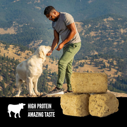 ORIJEN WHOLEPREY Freeze Dried Dog Treats Original Recipe, 3.25Oz Bag | 99% Animal Ingredients, Freeze Dried, High Protein, Made in the USA, Nourishing Organs, Global Quality Ingredients3