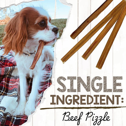 Nature Gnaws Extra Thin Bully Sticks for Small Dogs 5-6" (10 Count) - Long Lasting for Light Chewers and Puppies - Natural Beef Dog Chew Bones3