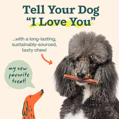 WOOF Bully Sticks Dog Treats - Chew Sticks for Dogs - Long-Lasting Dog Chew Treats - Made with Free-Range, Grass-Fed Beef - 6" Sticks - 10Pk6