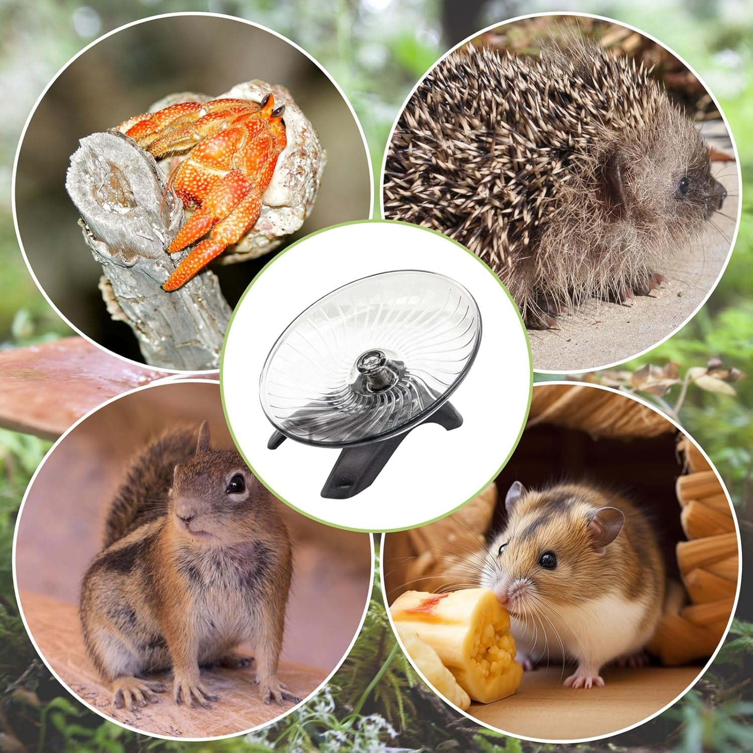 hermit-crab-exercise-wheel-silent-running-wheel-for-crab-tank-accessories-small-animal-wheel-for-hamster-gerbils-hedgehogs