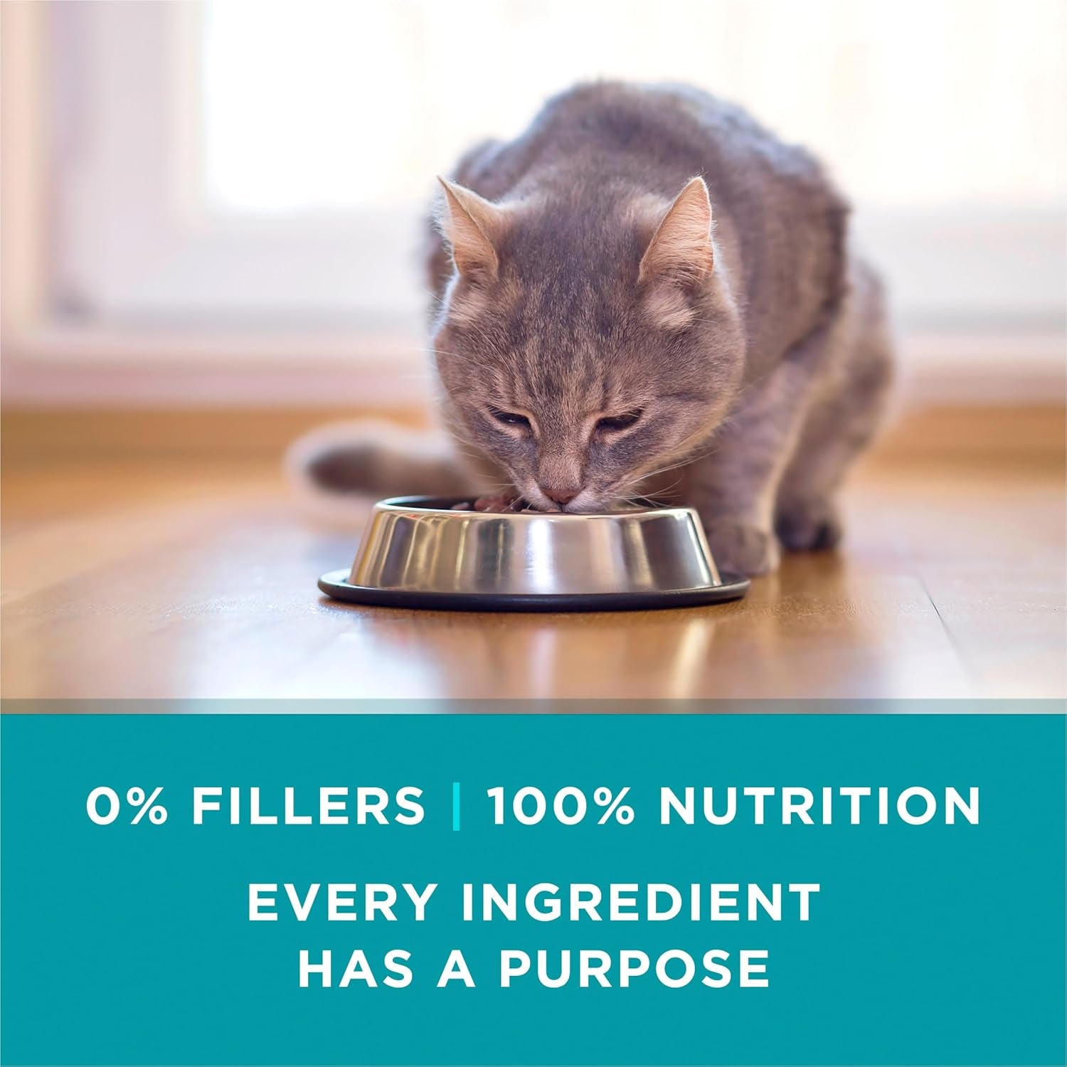 purina-one-natural-high-protein-cat-food-variety-pack-turkey-chicken-and-tuna-recipes-2-packs-of-12-3-oz-cans