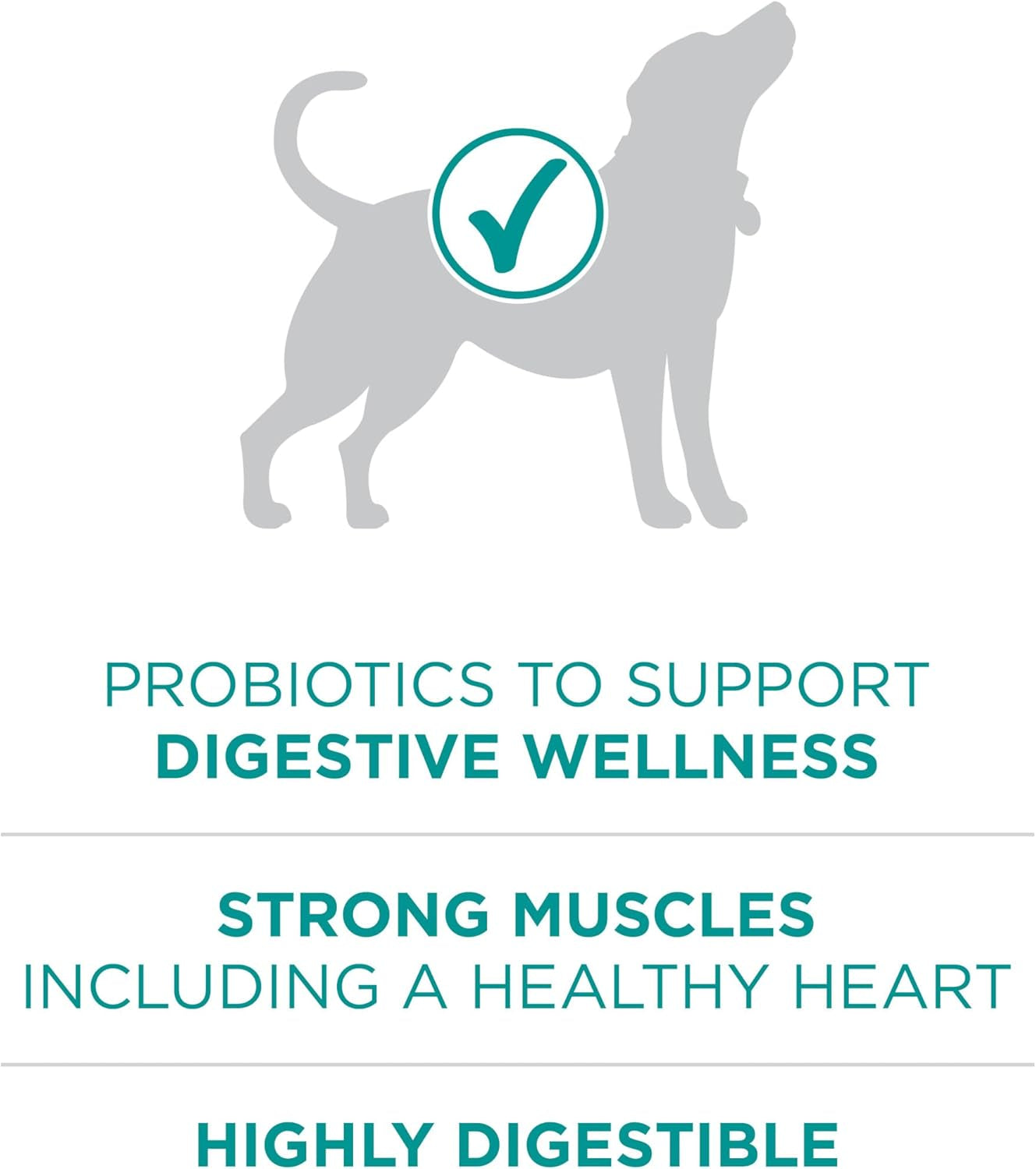 purina-one-plus-digestive-health-formula-dry-dog-food-natural-with-added-vitamins-minerals-and-nutrients-31-1-lb-bag