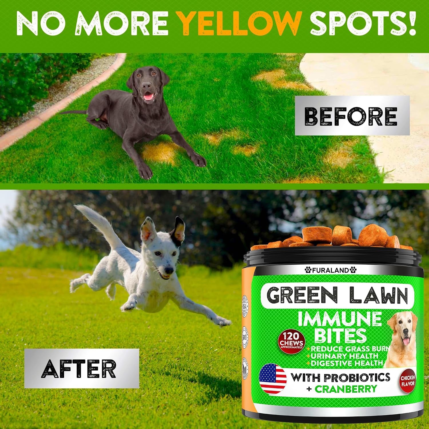 furaland-grass-burn-spot-chews-for-dogs-dog-pee-lawn-spot-saver-caused-by-dog-urine-grass-treatment-rocks-dl-methionine-digestive-enzymes-dog-urine-neutralizer-for-lawn-soft-treats