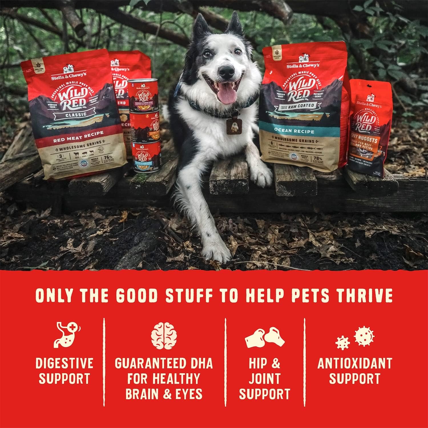 stella-chewys-wild-red-blend-gf-red-meat-dry-dog-food-3-5-lb