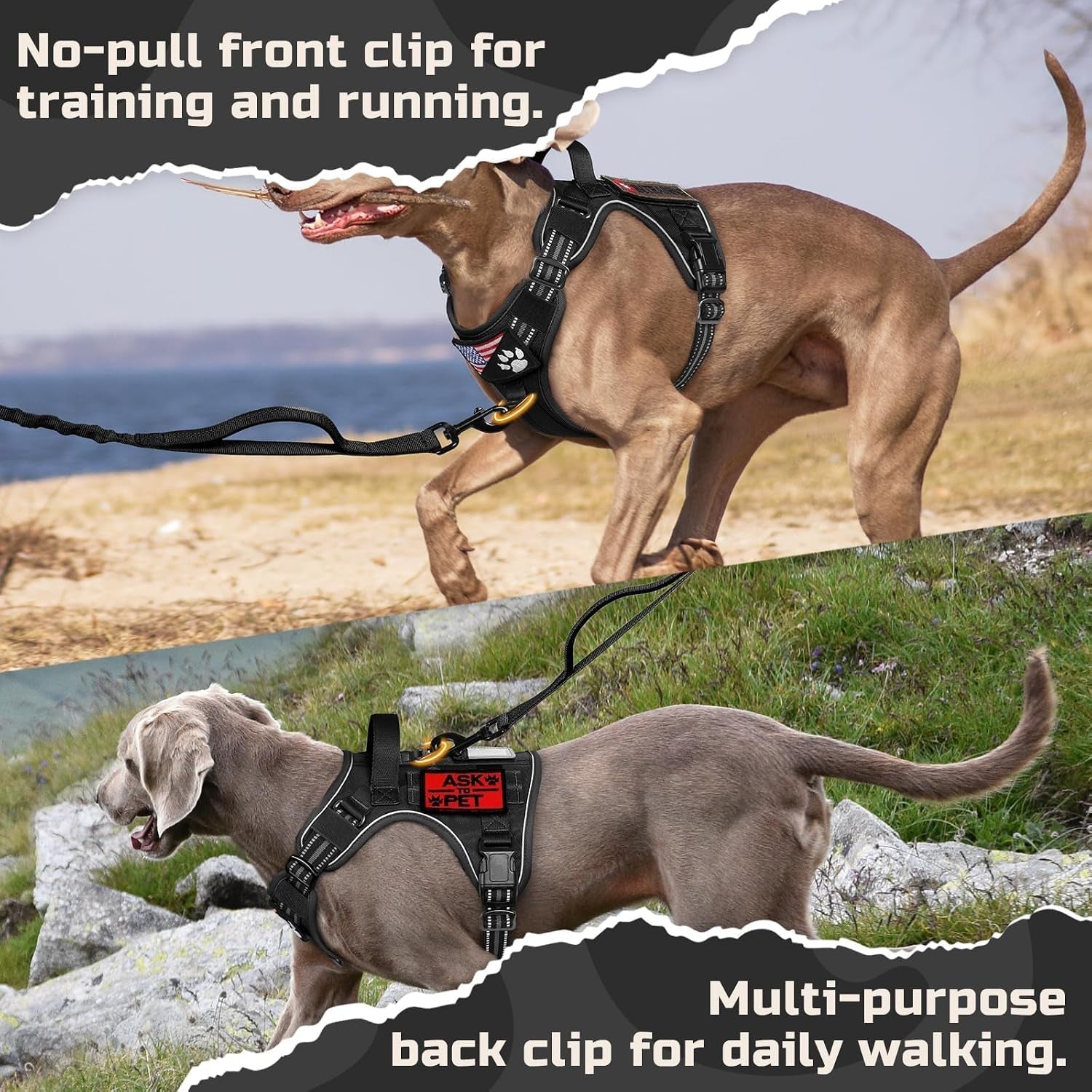 rabbitgoo-tactical-dog-harness-for-large-no-pull-military-service-vest-molle-handle-heavy-duty-adjustable-reflective-straps-easy-control-for-training-walking-black-large