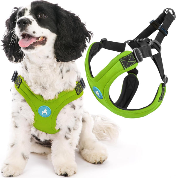 Gooby Escape Free Sport Harness - Red, Medium - No Choke Step-In Patented Neoprene Small Dog Harness with Four-Point Adjustment - Perfect on the Go Dog Harness for Medium Dogs No Pull and Small Dogs8