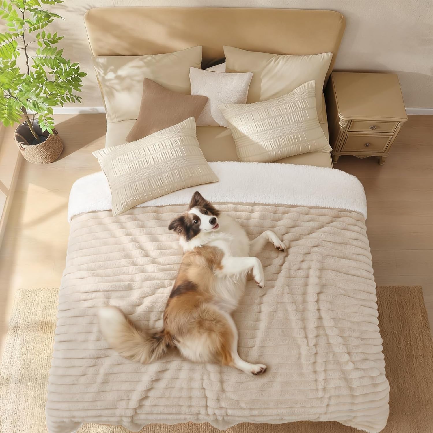luciphia-waterproof-dog-blanket-for-large-dogs-ultra-soft-calming-cut-pile-flannel-throw-durable-warm-furniture-protection-for-couch-bed-pet-human-blanket-machine-washable-soft-white-xl85x57
