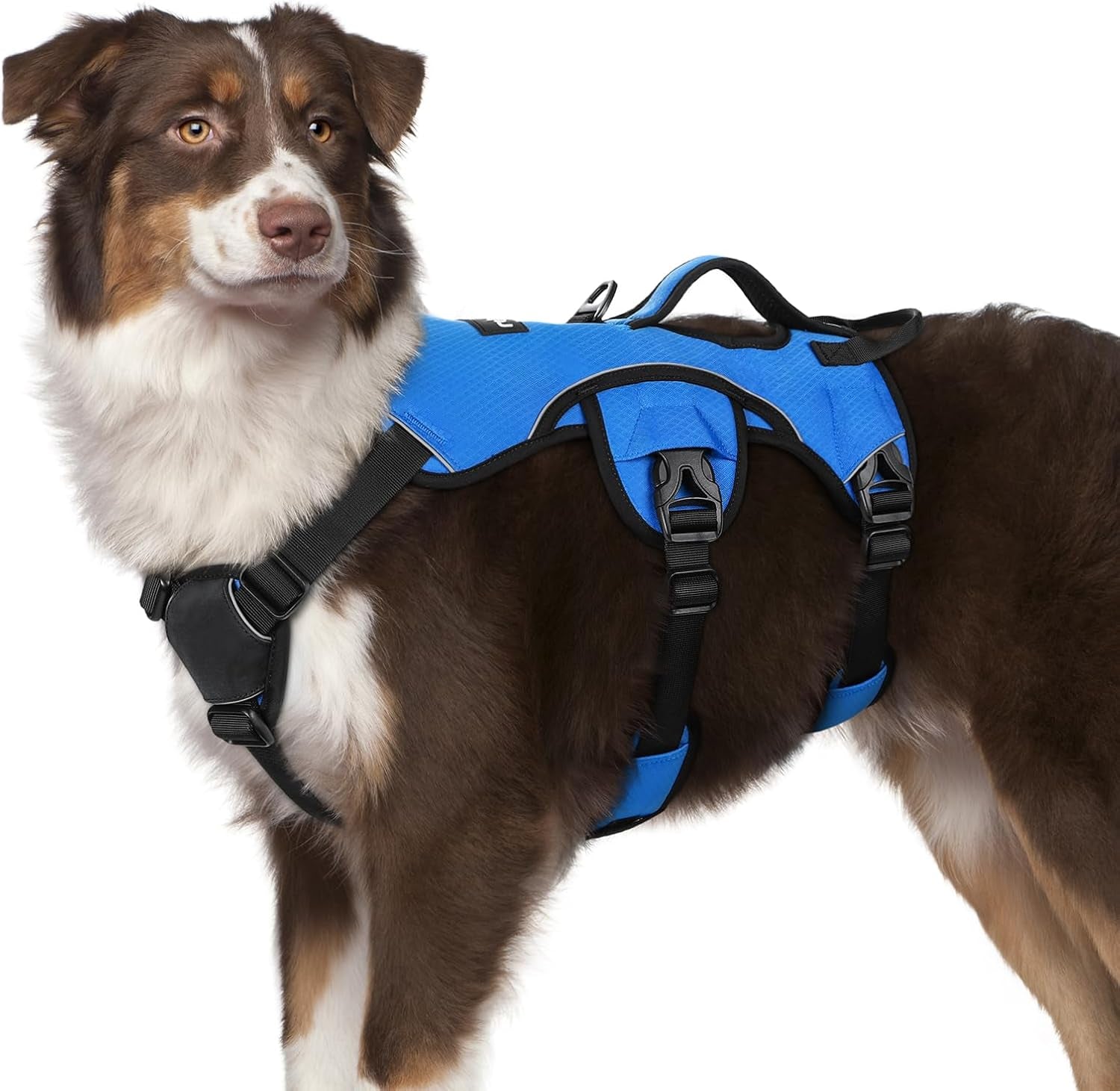 rabbitgoo-escape-proof-dog-harness-for-large-no-pull-with-lift-handle-no-escape-full-soft-padded-reflective-adjustable-vest-leash-clip-for-walking-hiking-training-black-large