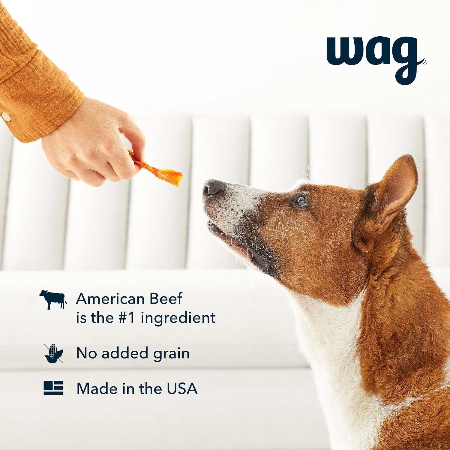 amazon-brand-wag-soft-tender-american-jerky-dog-treats-beef-recipe-24-oz