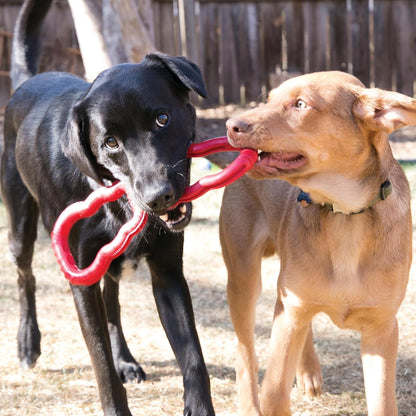KONG Tug Toy - Dog Supplies for Tug of War - Natural Rubber Dog Toy for Outdoor & Indoor Playtime - for Medium/Large Dogs2