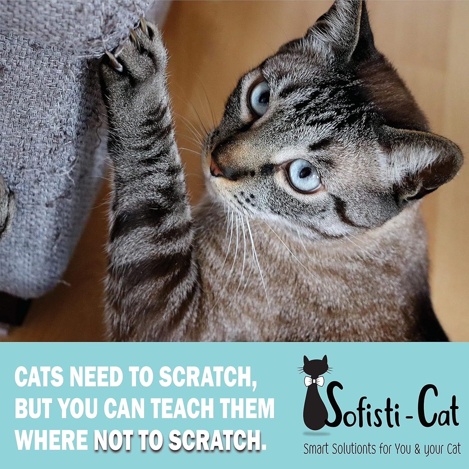 training-tape-cat-tape-for-furniture-scratch-deterrent-keep-cats-from-scratching-furniture-with-our-double-sided-repellent-2-5-x-15-roll