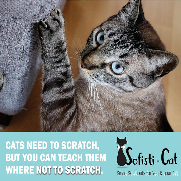Training Tape, Cat Tape for Furniture, Scratch Deterrent Keep Cats from Scratching Furniture with Our Double -Sided Repellent, 2.5" X 15' Roll3