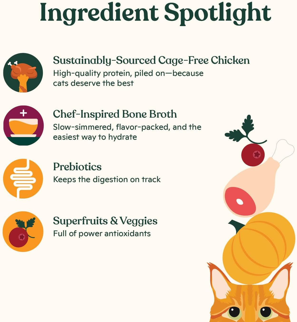 made-by-nacho-dry-cat-kibble-4lb-bag-high-protein-and-grain-friendly-premium-cat-food-cage-free-chicken-pumpkin-recipe-infused-with-bone-broth-for-hydration-limited-ingredients-single-bag