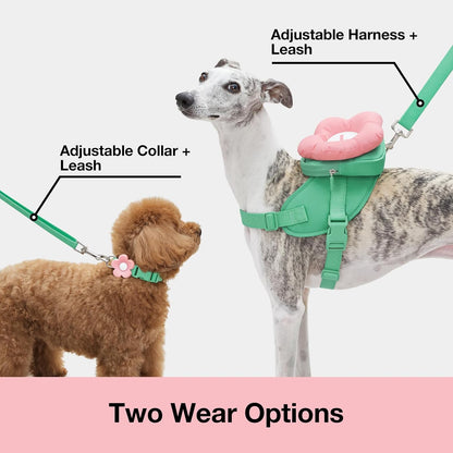 VETRESKA Flora Dog Harness, Leash and Collar Set, No Pull Vest Harness, L | for Walking and Training, Adjustable, Easy Control and Soft Padded Pet Harness and Backpack for Small Medium Large Dogs3