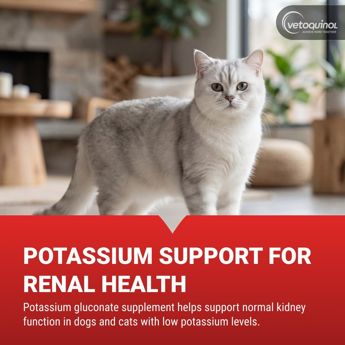 vetoquinol-renal-k-potassium-supplement-for-dogs-cats-supports-managing-potassium-levels-palatable-gel-with-maple-flavor-5oz