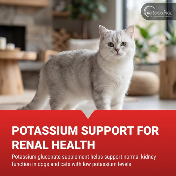 Vetoquinol Renal K - Potassium Supplement for Dogs & Cats - Supports Managing Potassium Levels - Palatable Gel with Maple Flavor - 5Oz2