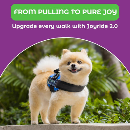 Joyride Dog Harness 2.0 | No-Pull | Blue 2.0 | M | Reflective No-Choke Quick-Fit Vest with 3 Leash Clips and Escape-Resistant Design for Easier Walks and Training8