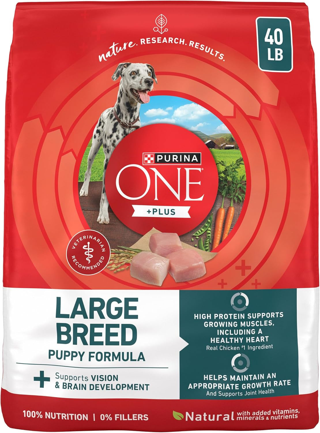purina-one-plus-puppy-dry-dog-food-for-large-dogs-high-protein-growth-support-real-chicken-31-1-lb-bag