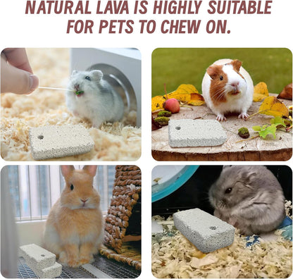 18 Pcs Small Animal Pet Lava Bites Chews Toy Mineral Calcium Stone Bunny Teeth Grinding Block for Hamster Chinchilla Rabbit Squirrel Rat Parrot Guinea Pig5