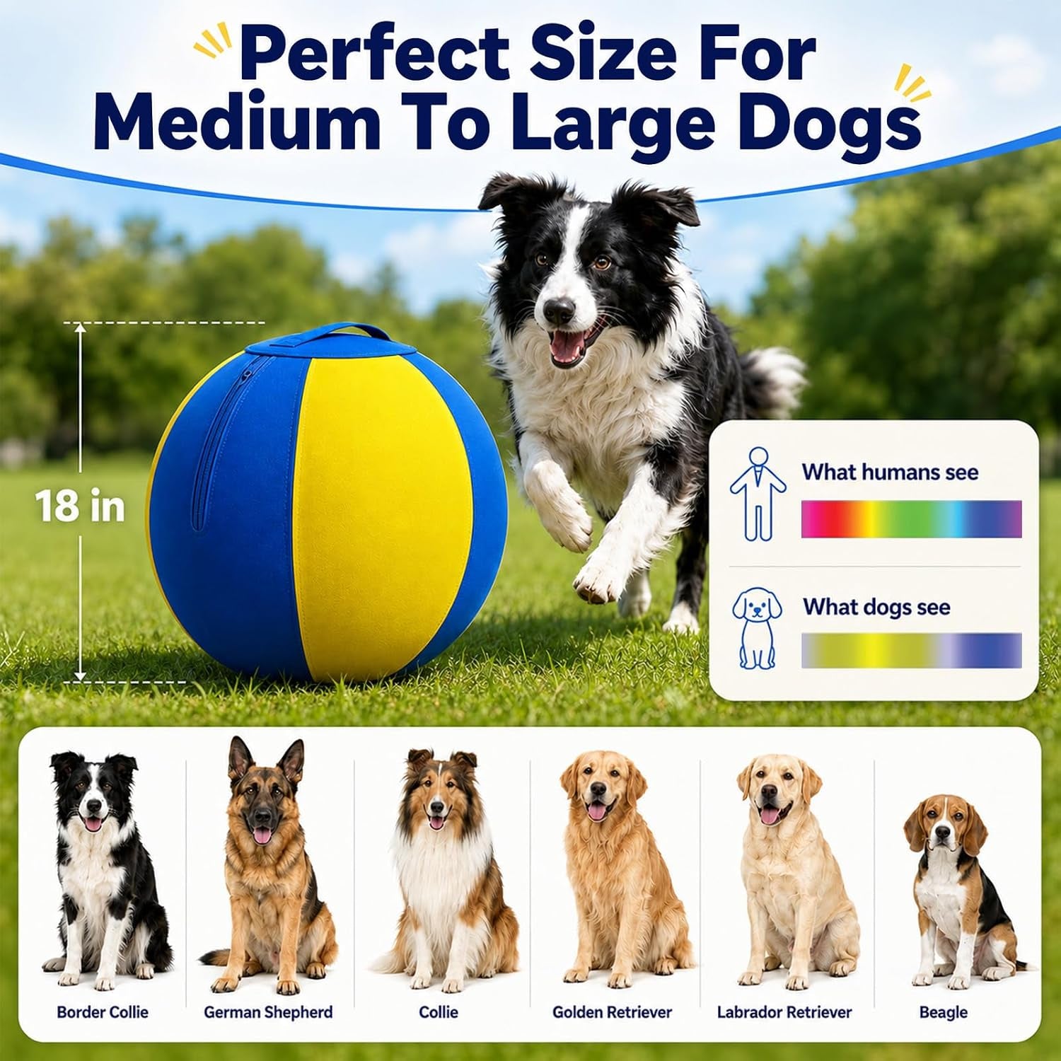 18-inch-bite-resistant-herding-ball-for-dogs-aussies-and-labs-1000d-nylon-cover-industrial-grade-spiral-rubber-bladder-anti-burst-build-lightweight-easy-to-clean-elastic-bounce