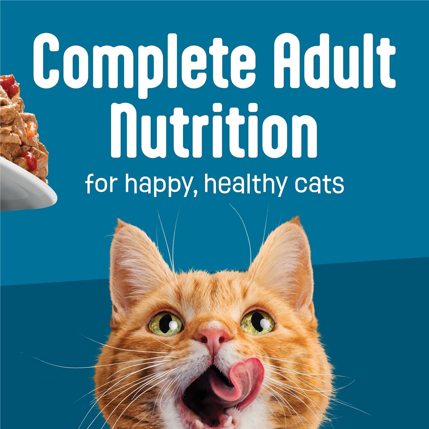 purina-friskies-fully-load-d-wet-cat-food-variety-pack-with-chicken-salmon-or-tuna-in-wet-cat-food-gravy-5-5-ounce-pack-of-12