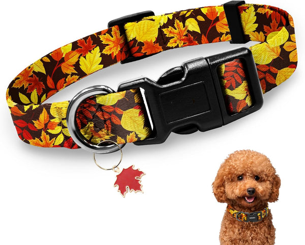 Kazazoo Dog Collar Cute and Soft Nylon Puppy Collar Girl Dogs, Adjustable Purple Dog Collars for Medium Dogs, Purple Flowers-M12
