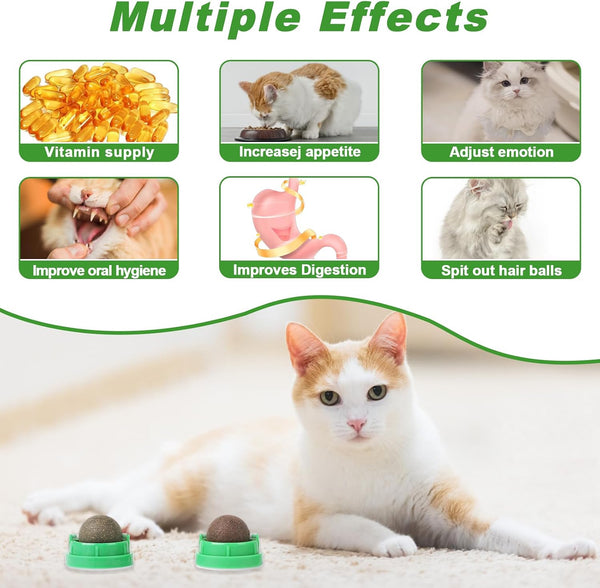 CCINEE 3PCS Catnip Balls for Cats Wall Catnip Toys Edible Cat Toys for Cat Lick Safe Healthy Kitten Chew Toys Teeth Cleaning Dental Cat Toys3