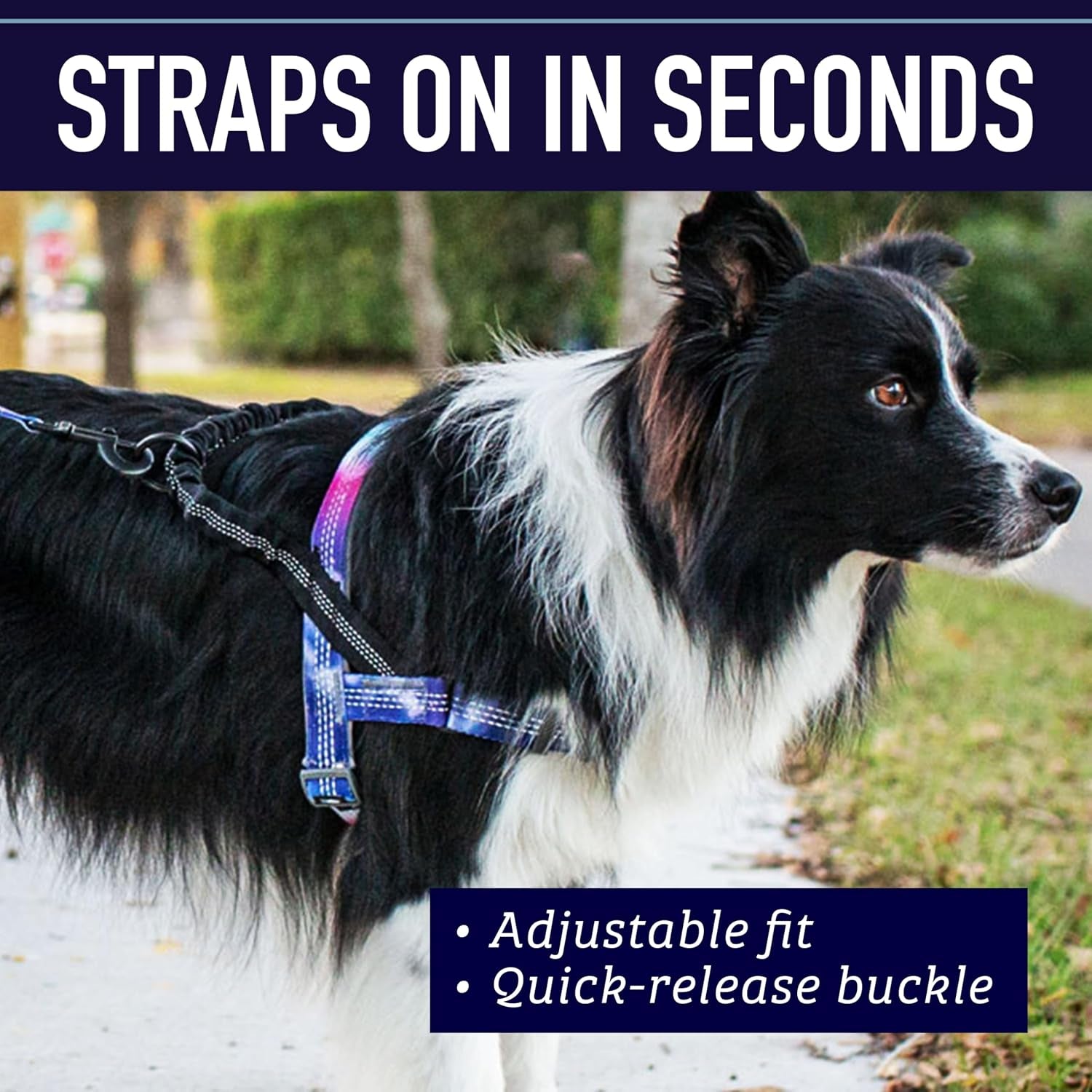 leash-boss-no-pull-dog-harness-easy-walk-for-small-medium-and-large-pets-reflective-with-rear-and-front-clip-attachment-blanket-pattern-medium
