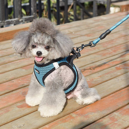 Dog Harness Step-In Breathable Puppy Cat Dog Vest Harnesses for Small Medium Dogs6
