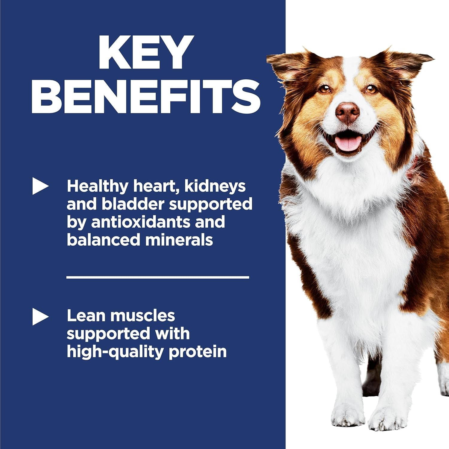 hills-science-diet-adult-7-dry-dog-food-1-veterinarian-recommended-chicken-meal-barley-rice-33-lb-bag
