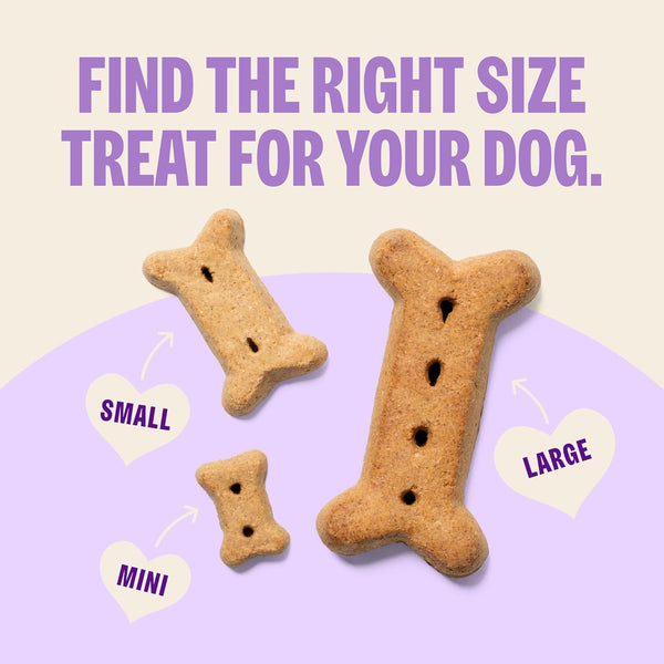 Old Mother Hubbard Wellness P-Nuttier Dog Biscuits, Natural, Training Treats, Peanut Butter Flavor, Mini Size, (20 Ounce Bag)5