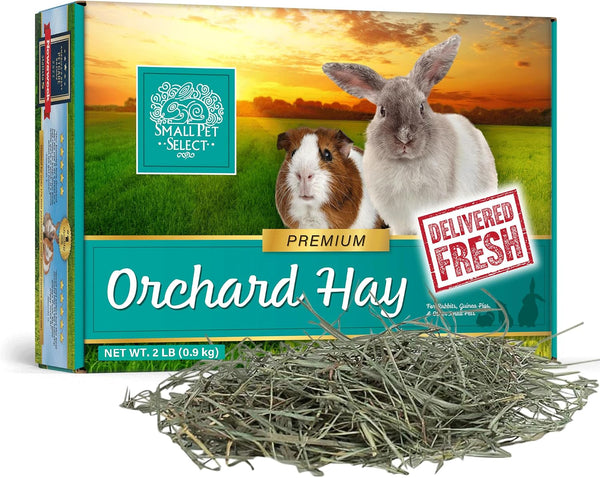 Small Pet Select Orchard Grass Hay Pet Food, 2 Lb.1