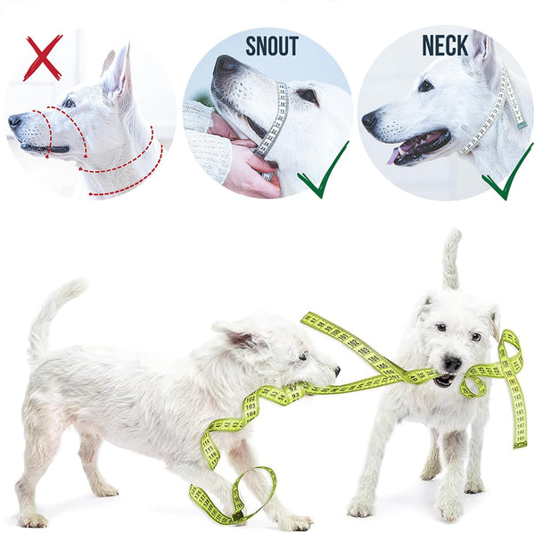 Goodboy Dog Head Halter with Safety Strap - Stops Heavy Pulling on the Leash - Padded Headcollar for Small Medium and Large Dog Sizes - Head Collar Training Guide Included (Size 2, Black)7