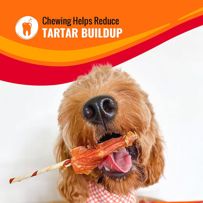Good 'N' Fun Wings Long-Lasting Dog Treat, with Real Proteins, Premium Chicken and Beef Hide, Supports Dental Health, Mental Stimulation, 4 Oz6