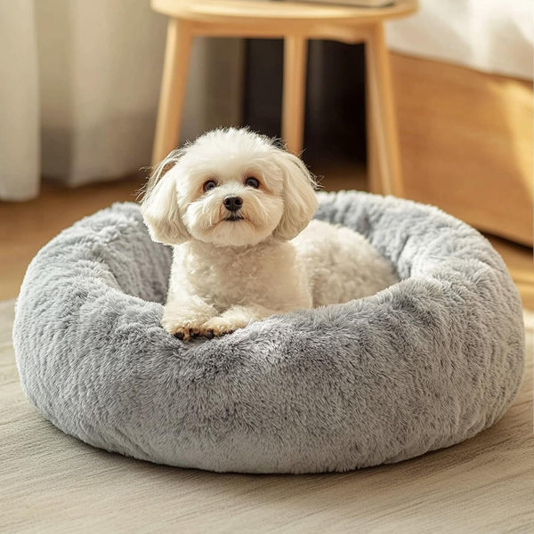 JOLLYVOGUE Small Dog Bed, Calming Soft Anti-Anxiety Donut Cat Bed, Washable round Fluffy Cushion for Small and Medium Pets (20")1