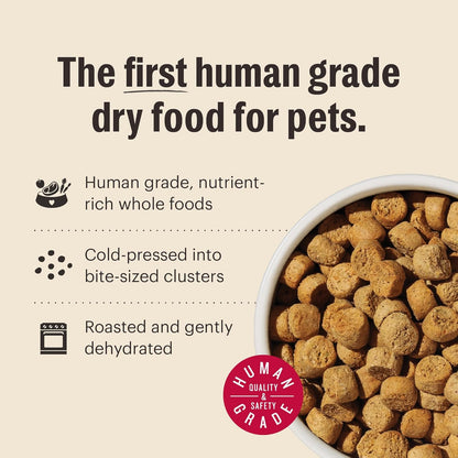 The Honest Kitchen Whole Food Clusters Small Breed Grain Free Chicken Dry Dog Food, 4 Lb Bag6