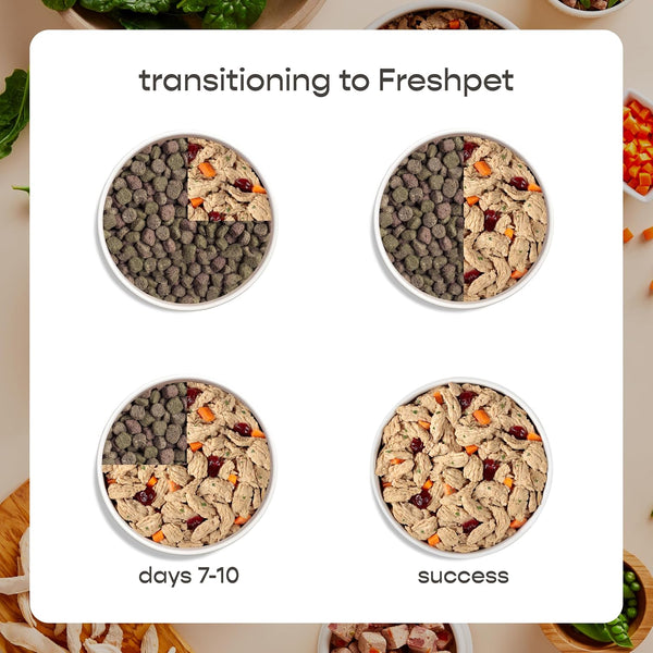 Freshpet Fresh from the Kitchen, Healthy & Natural Dog Food, Chicken Recipe, 1.75Lb8