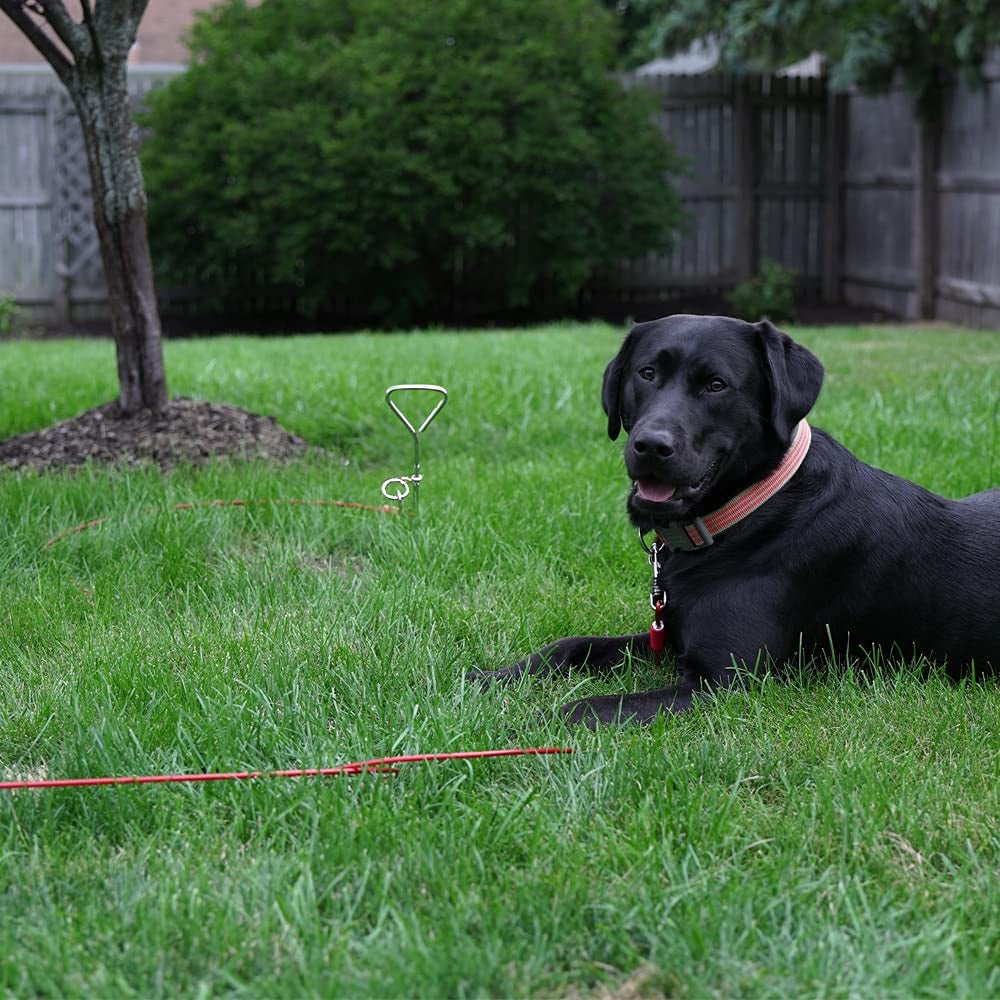 bv-dog-tie-out-cable-30-feet-heavy-duty-dog-lead-up-to-125-pounds-reflective-rust-free-with-quick-release-swivel-clips-360-rotating-clasp-tangle-free-dogs-runner-for-yard-red-single