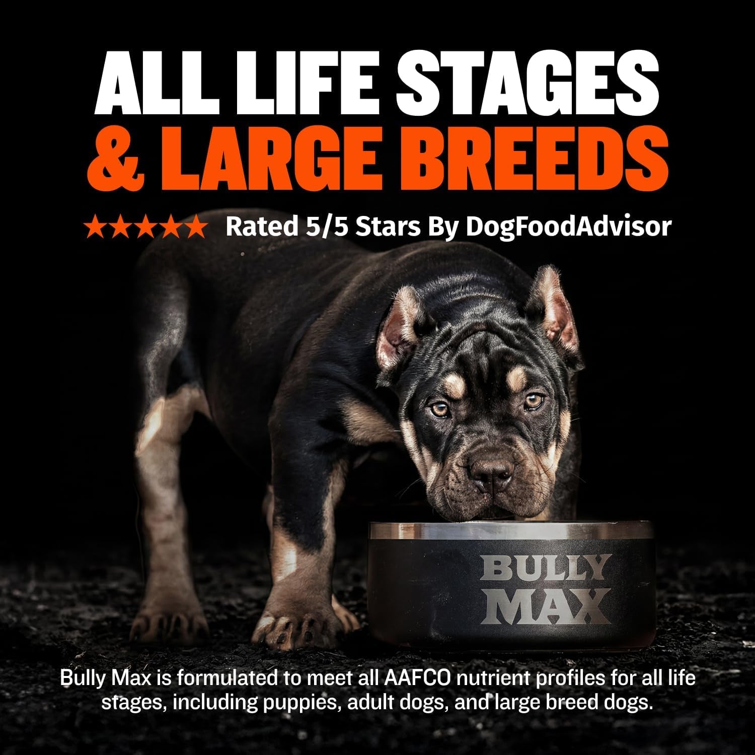 bully-max-dry-dog-food-for-adults-puppies-high-protein-fat-for-muscle-weight-gain-high-performance-dog-food-supplements-small-large-breed-dogs-535-calories-per-cup-chicken-15lb-bag