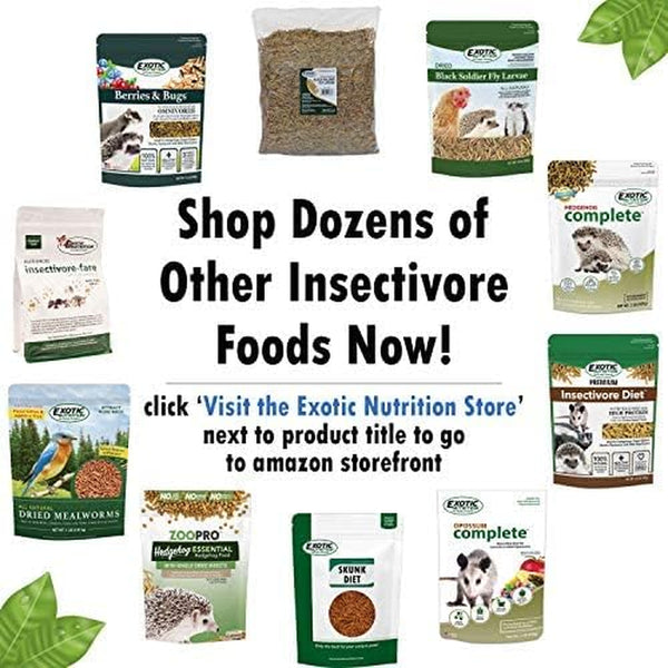 Hedgehog Essential - Chicken Kibble with Mealworms (1.75 Pound)6
