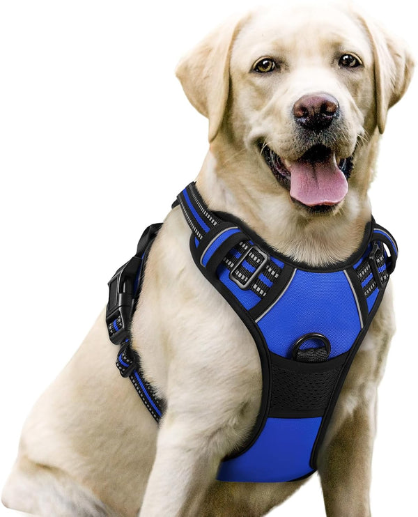 Rabbitgoo Dog Harness, No Pull for Large Dogs with 2 Leash Clips, Pet Vest | No Choke with Handle, Adjustable Soft Padded, Reflective, Easy Control for Walking, Black, Large37