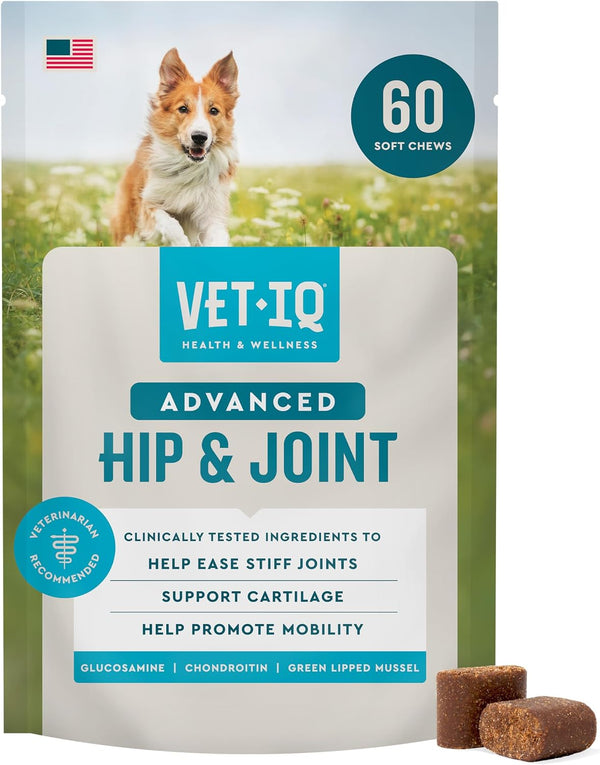 Vetiq Advanced Hip & Joint Chews, 60 Ct Chicken Flavor, Glucosamine for Dogs, Hip and Joint Supplement with Omega 3, Chondroitin, MSM, Green Lipped Mussel, Increases Mobility, Maintains Muscles | Increases Mobility & Maintains Muscle; Glucosamine, Chondroitin, MSM & Omega-3; Green Lipped Mussel; Chicken Flavor1