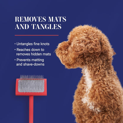 Chris Christensen Big G Dog Slicker Brush for Dogs (Goldendoodles, Labradoodles, Poodles), Groom like a Professional, Fluff Detangle Style, Saves Time Energy, Coral, Large7
