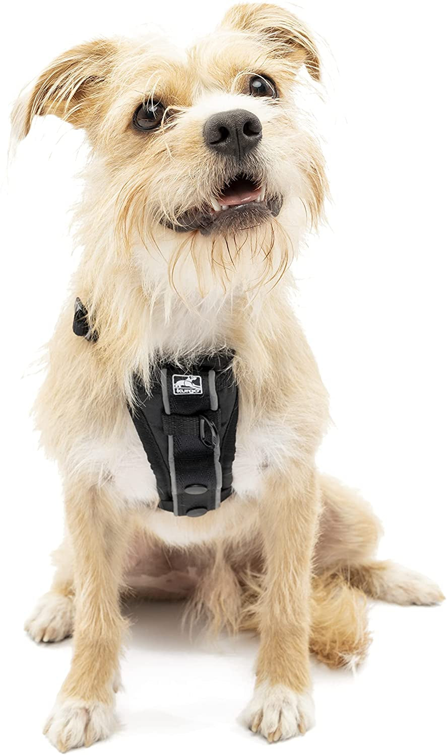kurgo-tru-fit-smart-harness-black-small-dog-walking-harness-with-quick-release-buckles-front-back-leash-attachments-reflective-trim-includes-seatbelt-tether